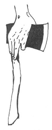 accetta1.jpg