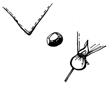 tende8.gif